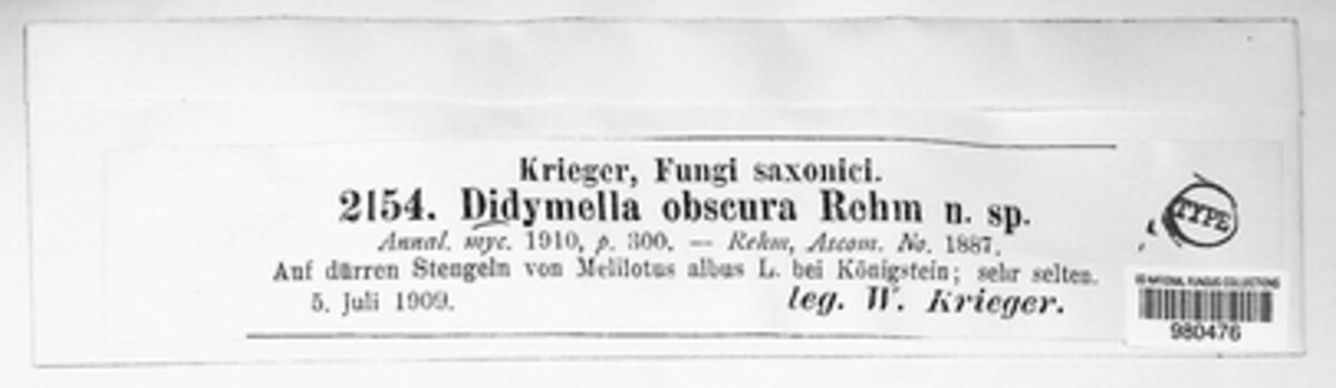 Didymella obscura image